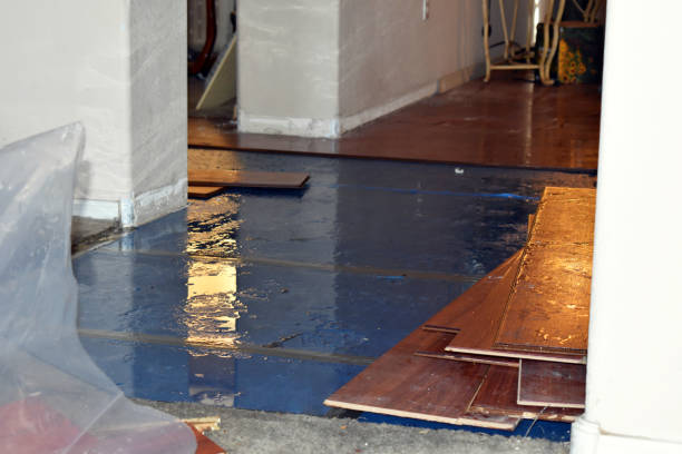 Professional Burst Pipe Water Damage technician working in Bass Harbor, ME